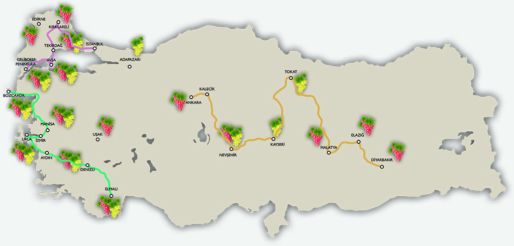 Wine Routes of Turkey
